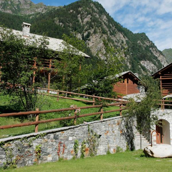 Discover the Village