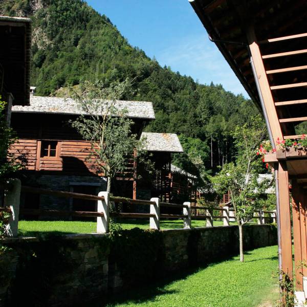 Discover the Village