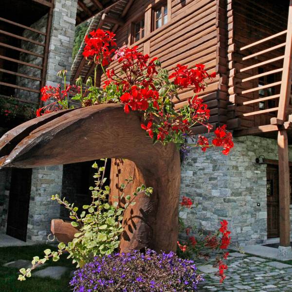 Discover the Village